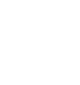 phone_iconA
